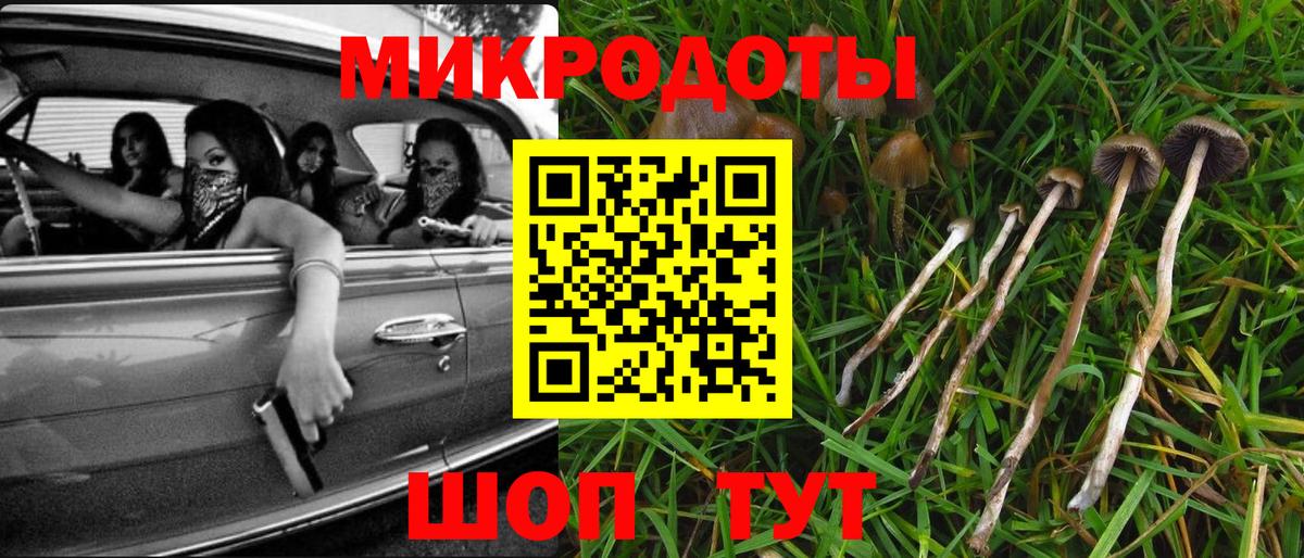 Родники  Псилоцибиновые грибы мицелий  Вход с VPN 